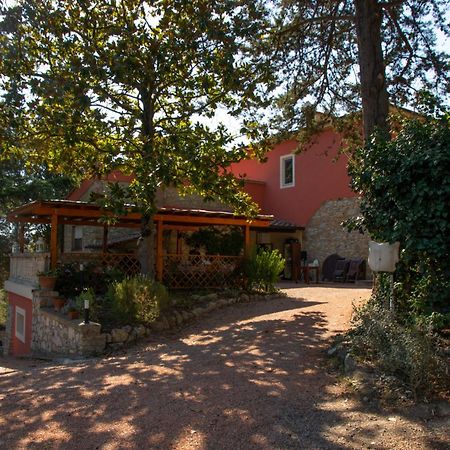 Agriturismo Terre Della Rinascita Castelnuovo della Misericordia Eksteriør billede