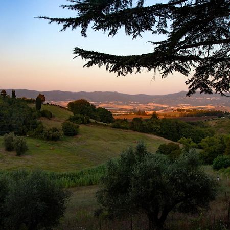 Agriturismo Terre Della Rinascita Castelnuovo della Misericordia Eksteriør billede