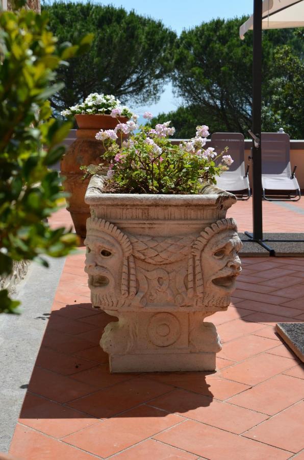 Agriturismo Terre Della Rinascita Castelnuovo della Misericordia Eksteriør billede
