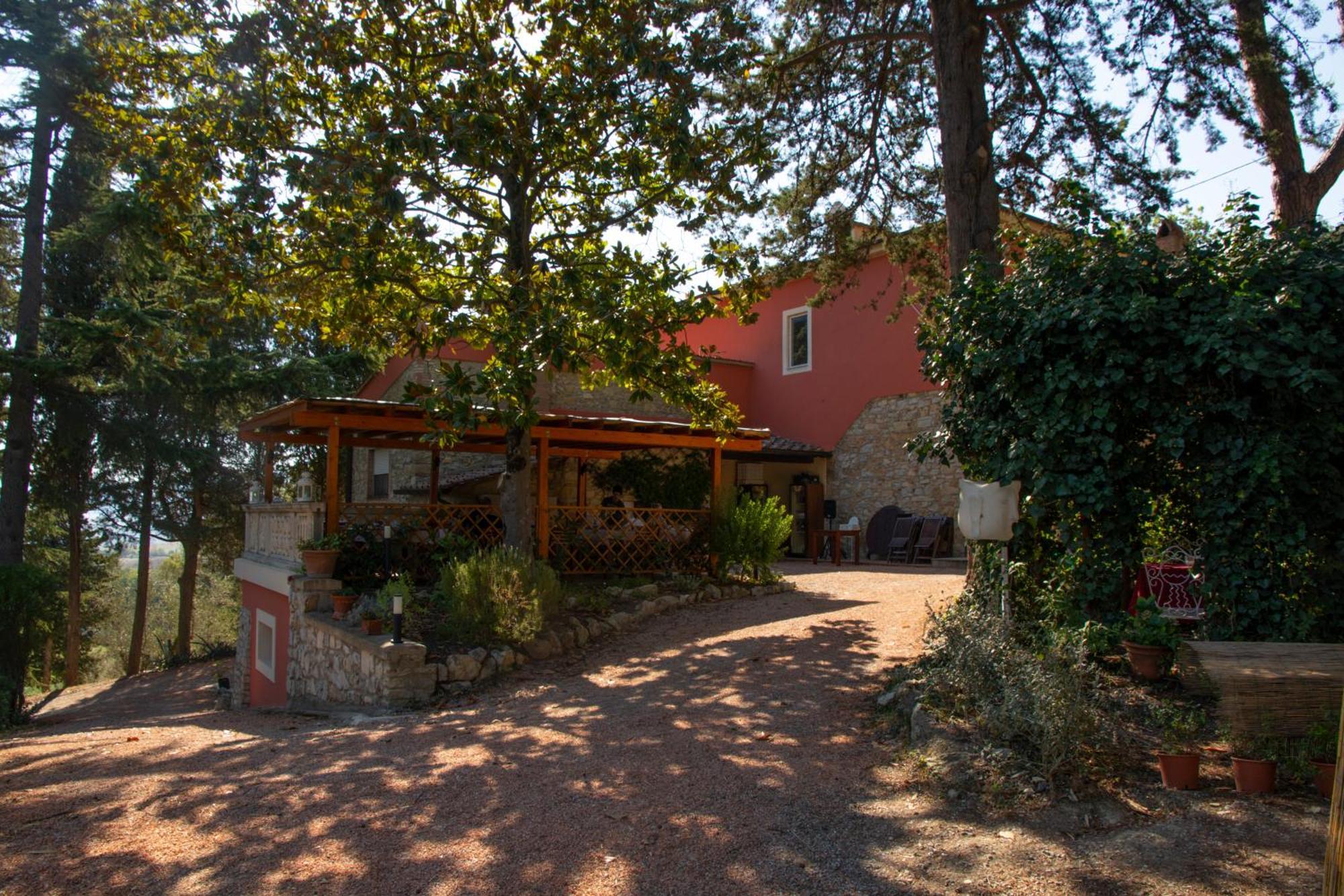 Agriturismo Terre Della Rinascita Castelnuovo della Misericordia Eksteriør billede