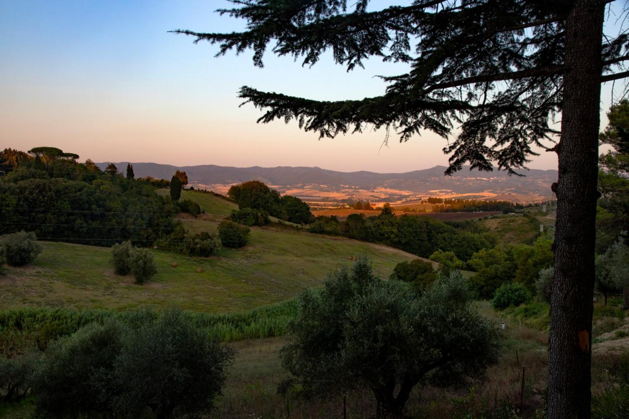 Agriturismo Terre Della Rinascita Castelnuovo della Misericordia Eksteriør billede