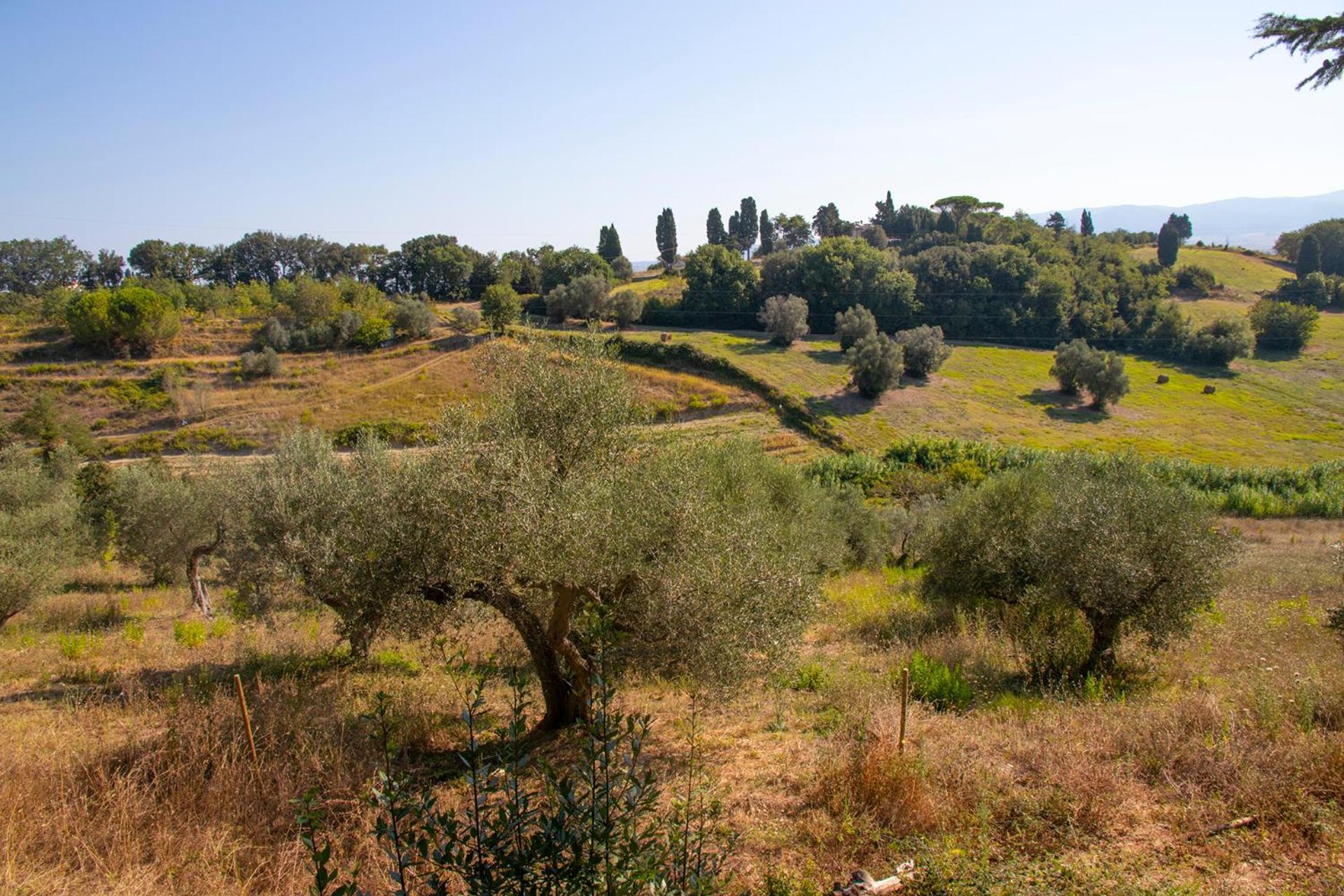 Agriturismo Terre Della Rinascita Castelnuovo della Misericordia Eksteriør billede