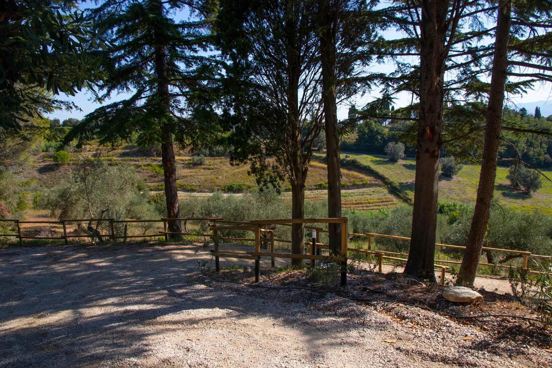 Agriturismo Terre Della Rinascita Castelnuovo della Misericordia Eksteriør billede