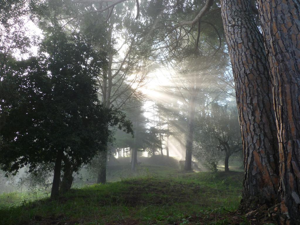 Agriturismo Terre Della Rinascita Castelnuovo della Misericordia Eksteriør billede